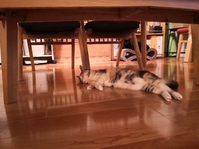 f:id:hiraryo0201:20200913065949j:image