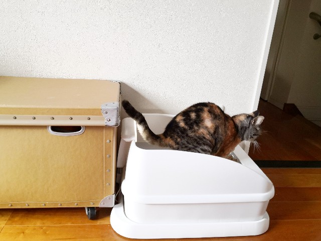 f:id:hiraryo0201:20200913122231j:plain f:id:hiraryo0201:20200913122231j:plain