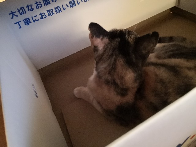 f:id:hiraryo0201:20200913201515j:image