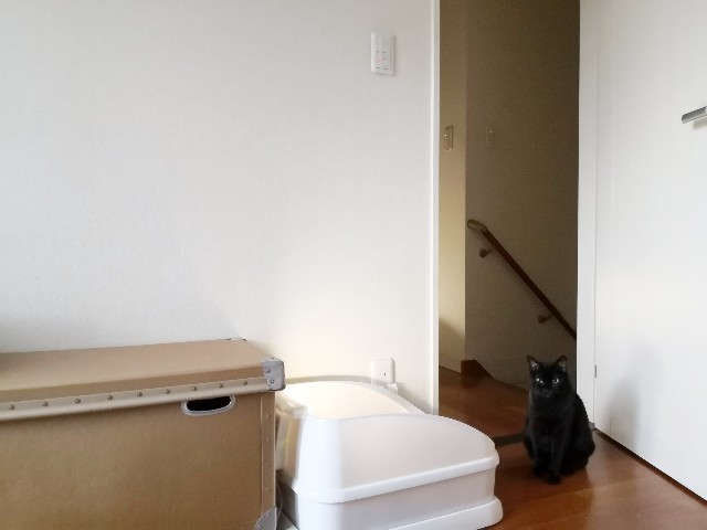 f:id:hiraryo0201:20200915074808j:image