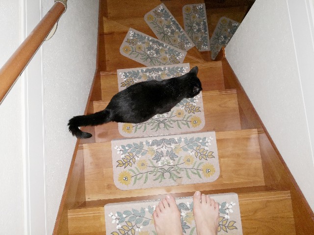 f:id:hiraryo0201:20200915074826j:image