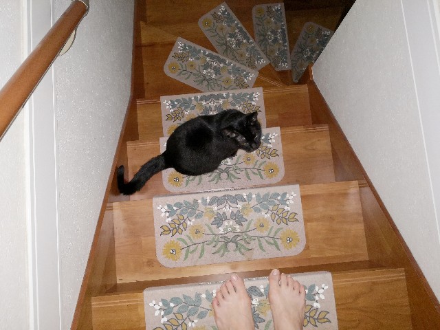 f:id:hiraryo0201:20200915074835j:image