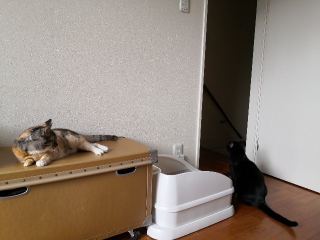 f:id:hiraryo0201:20200919161943j:image