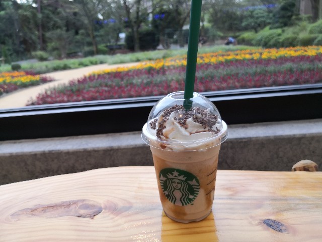 f:id:hiraryo0201:20200919162402j:image
