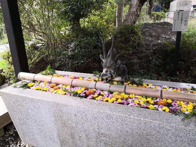 f:id:hiraryo0201:20200919162420j:image