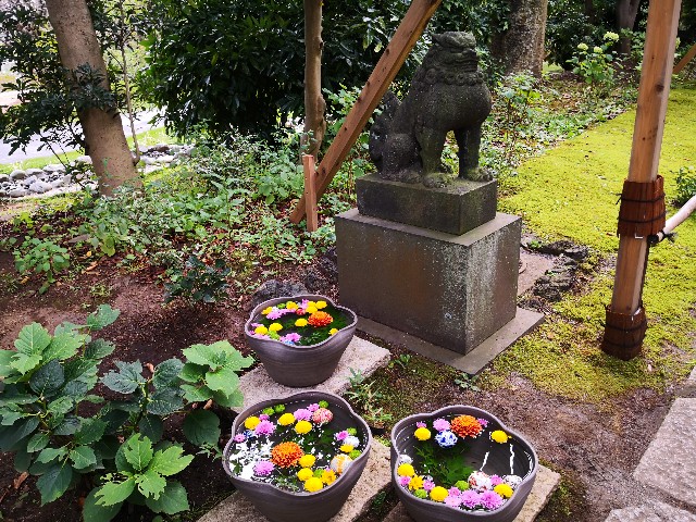 f:id:hiraryo0201:20200919162436j:image