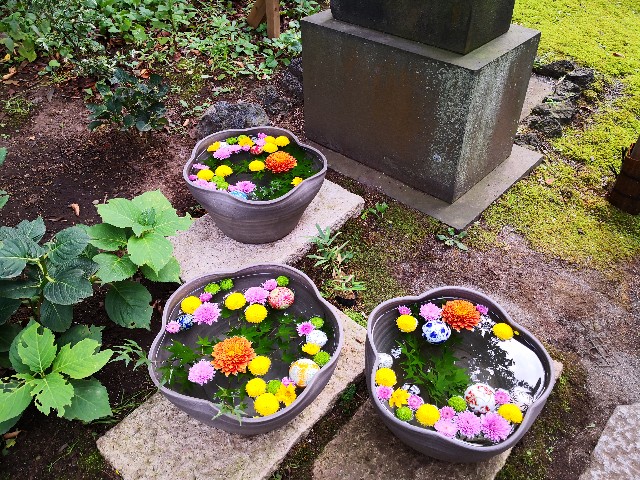f:id:hiraryo0201:20200919193215j:image