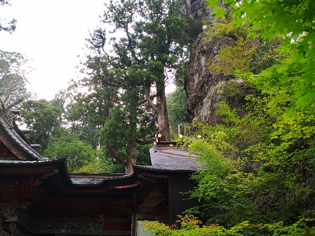 f:id:hiraryo0201:20200922121812j:image