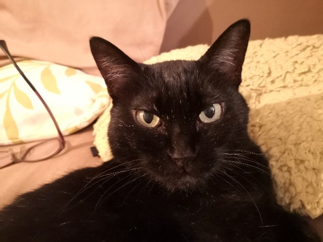 f:id:hiraryo0201:20200923083148j:image