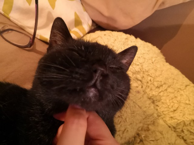 f:id:hiraryo0201:20200923083219j:image