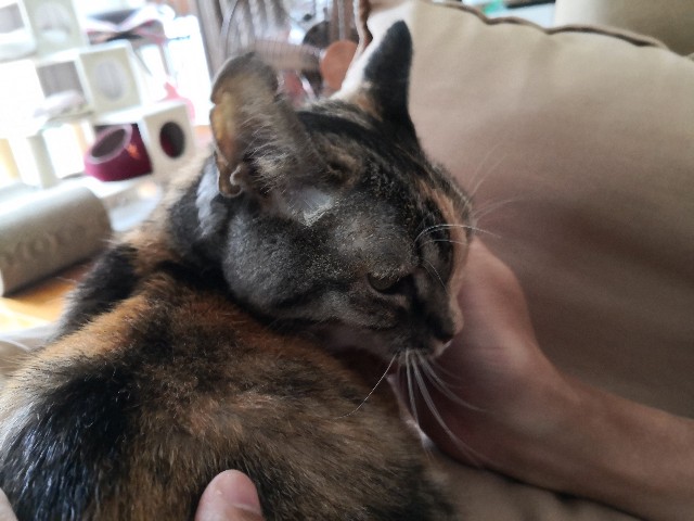 f:id:hiraryo0201:20200927213421j:image f:id:hiraryo0201:20200927213421j:image