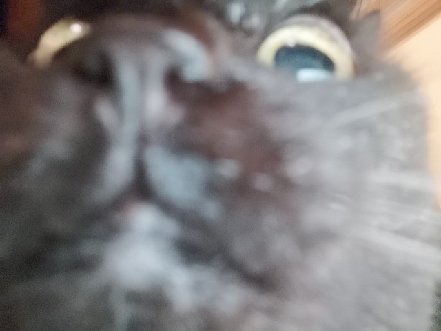 f:id:hiraryo0201:20200927213544j:image f:id:hiraryo0201:20200927213544j:image