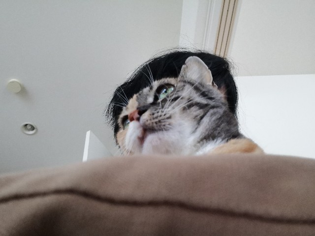 f:id:hiraryo0201:20201008225352j:image f:id:hiraryo0201:20201008225352j:image