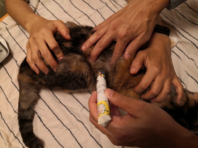f:id:hiraryo0201:20201010011414j:image