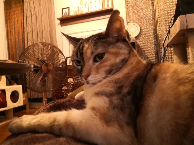 f:id:hiraryo0201:20201018085152j:image f:id:hiraryo0201:20201018085152j:image