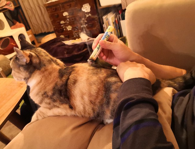 f:id:hiraryo0201:20201018085546j:image