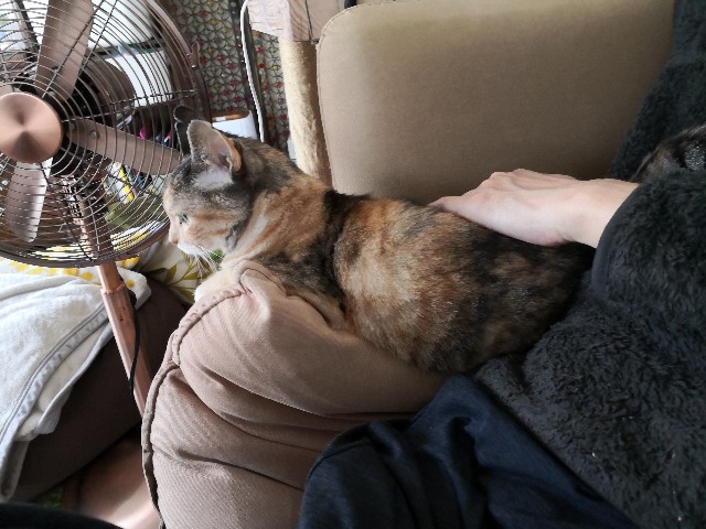 f:id:hiraryo0201:20201019001732j:image