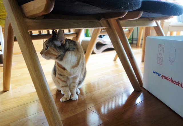 f:id:hiraryo0201:20201024162810j:plain f:id:hiraryo0201:20201024162810j:plain