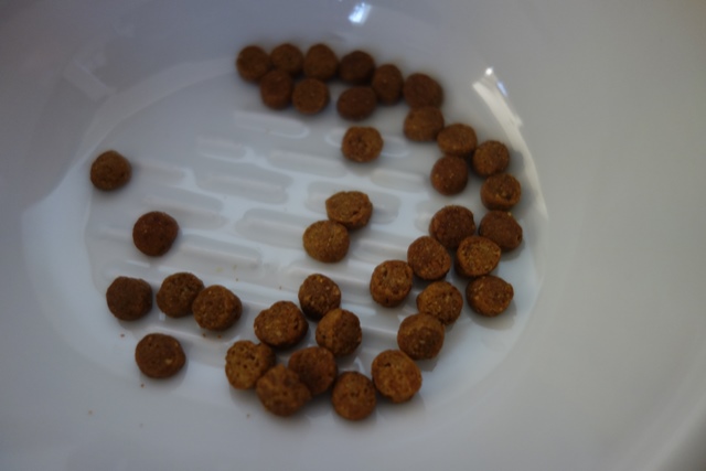 f:id:hiraryo0201:20201024162925j:plain f:id:hiraryo0201:20201024162925j:plain