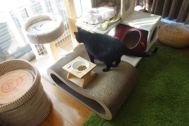 f:id:hiraryo0201:20201024163002j:plain f:id:hiraryo0201:20201024163002j:plain