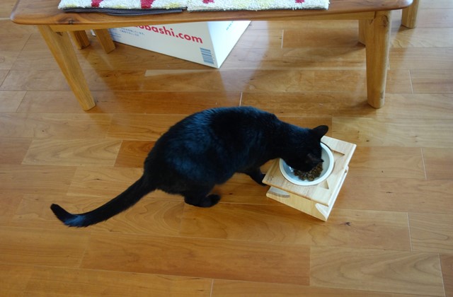 f:id:hiraryo0201:20201024163014j:plain f:id:hiraryo0201:20201024163014j:plain