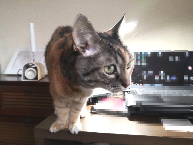 f:id:hiraryo0201:20201029215510j:image