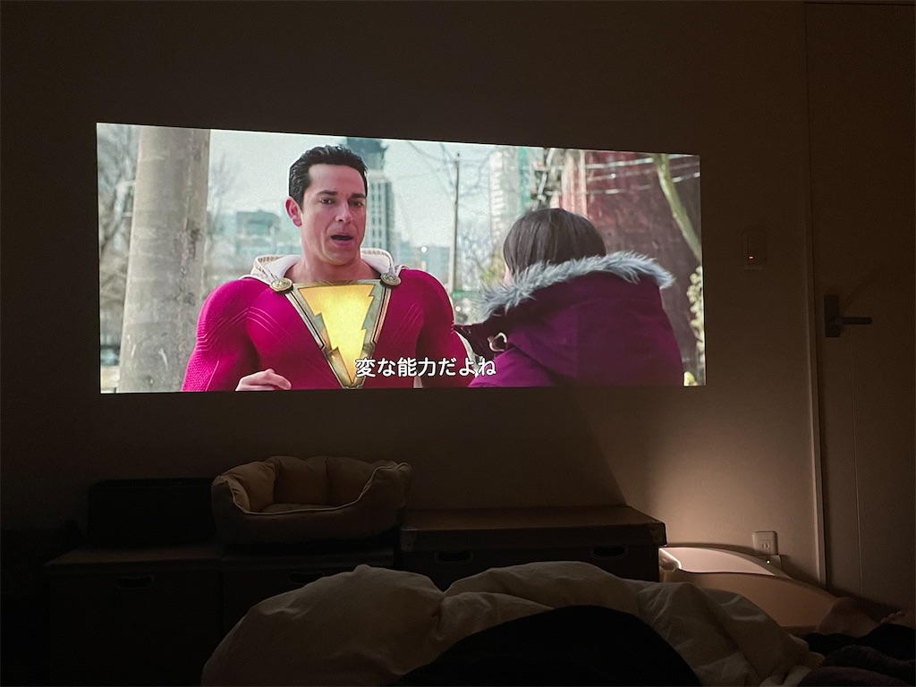 f:id:hiraryo0201:20201103204757j:image