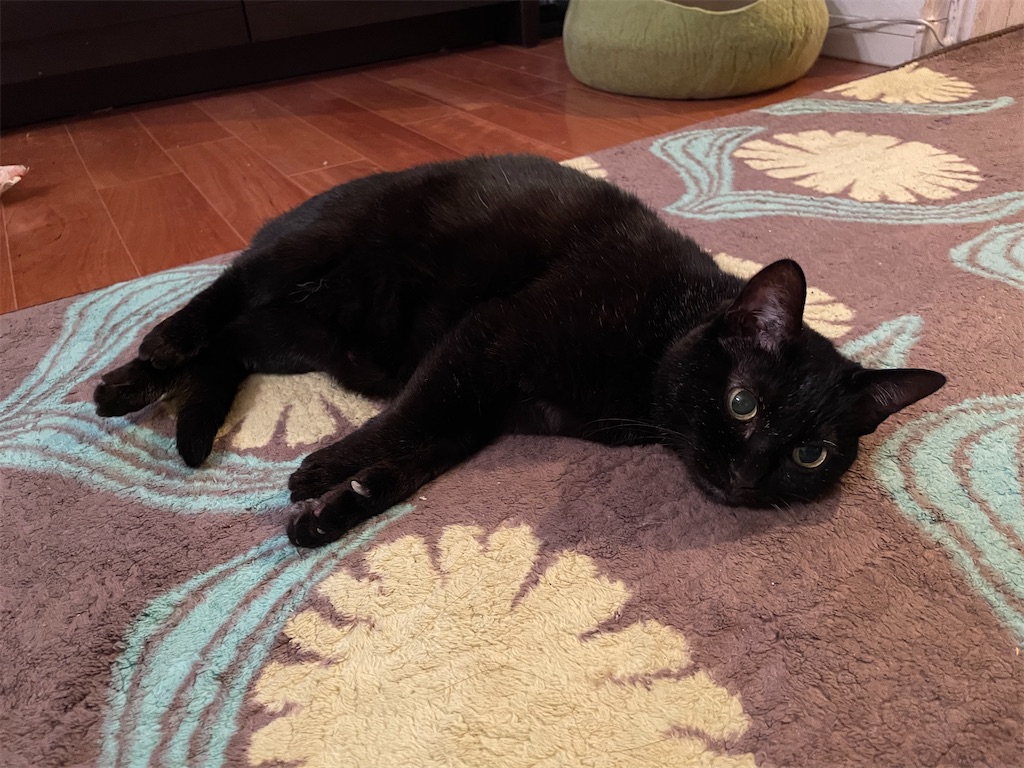 f:id:hiraryo0201:20201104185251j:image f:id:hiraryo0201:20201104185251j:image