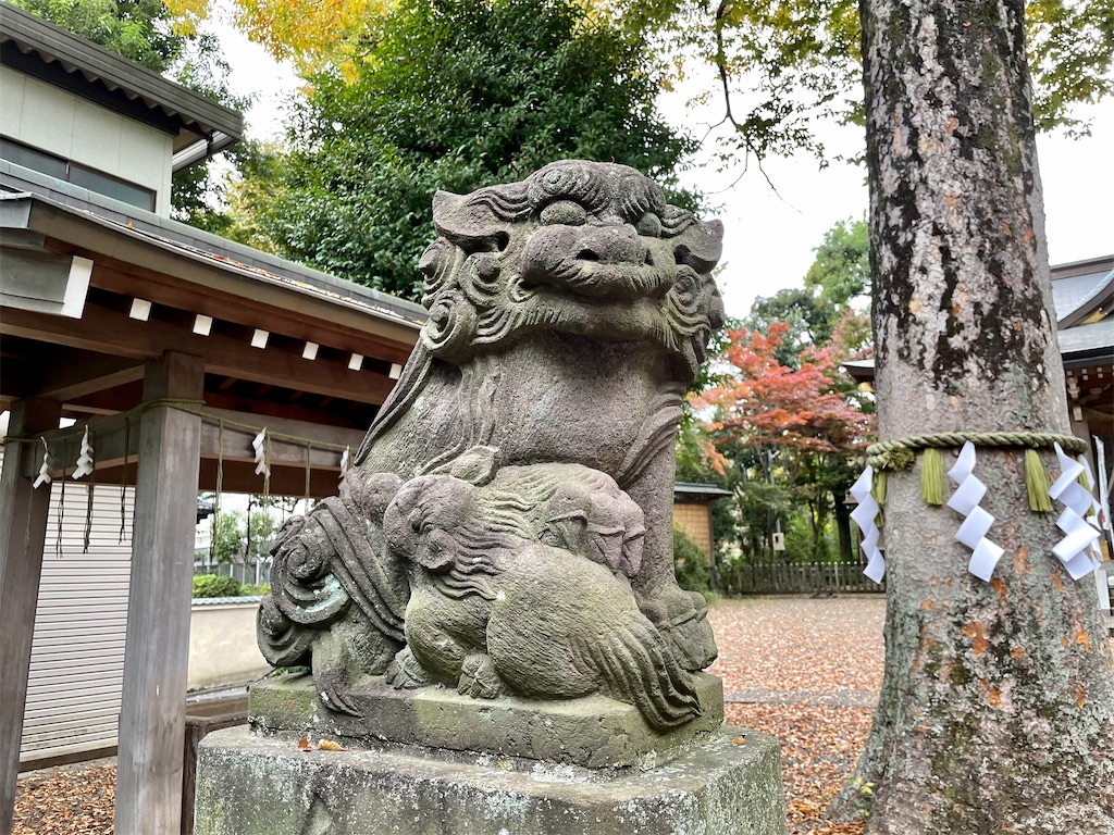 f:id:hiraryo0201:20201108181327j:image f:id:hiraryo0201:20201108181327j:image