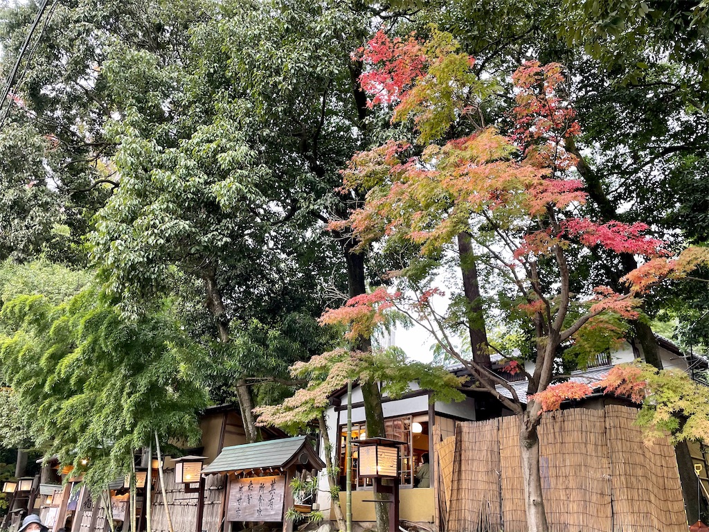 f:id:hiraryo0201:20201108181342j:image f:id:hiraryo0201:20201108181342j:image