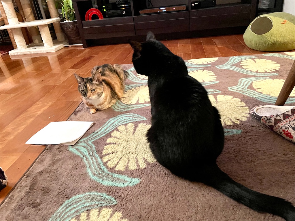 f:id:hiraryo0201:20201111190258j:image