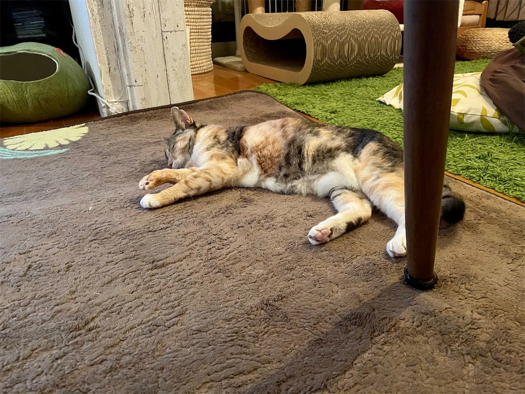 f:id:hiraryo0201:20201123091746j:plain