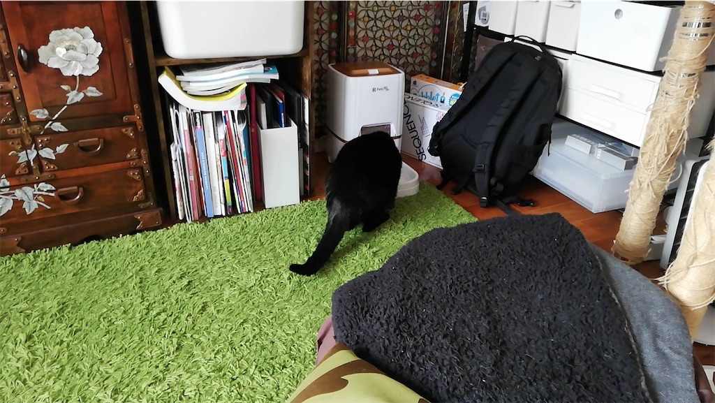 f:id:hiraryo0201:20201201123046j:image