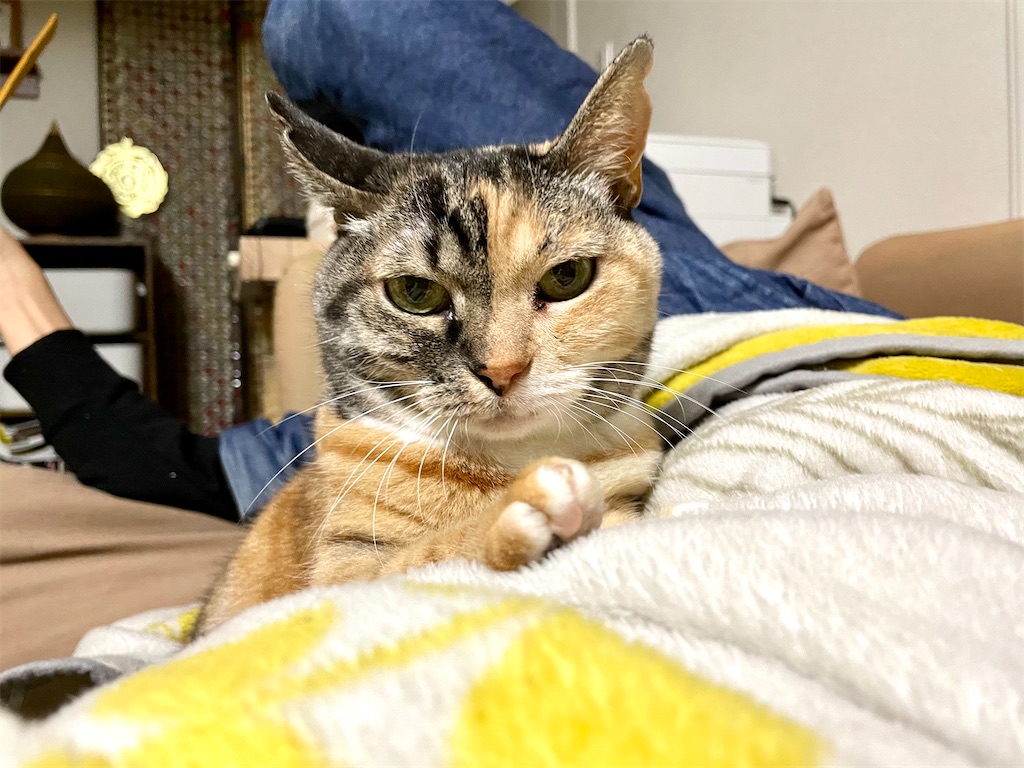 f:id:hiraryo0201:20201219233455j:image f:id:hiraryo0201:20201219233455j:image