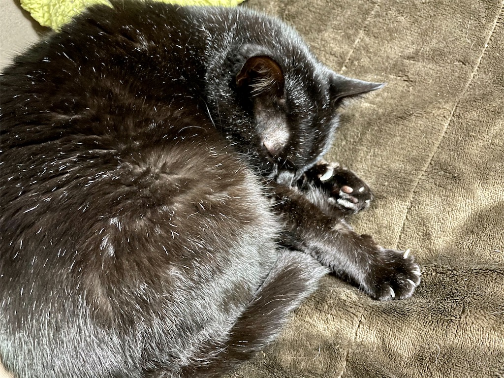 f:id:hiraryo0201:20201219233502j:image f:id:hiraryo0201:20201219233502j:image