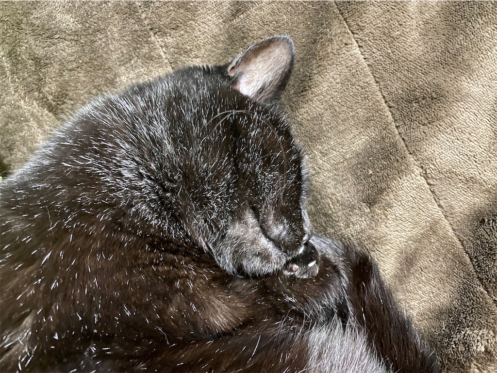 f:id:hiraryo0201:20201219233505j:image f:id:hiraryo0201:20201219233505j:image