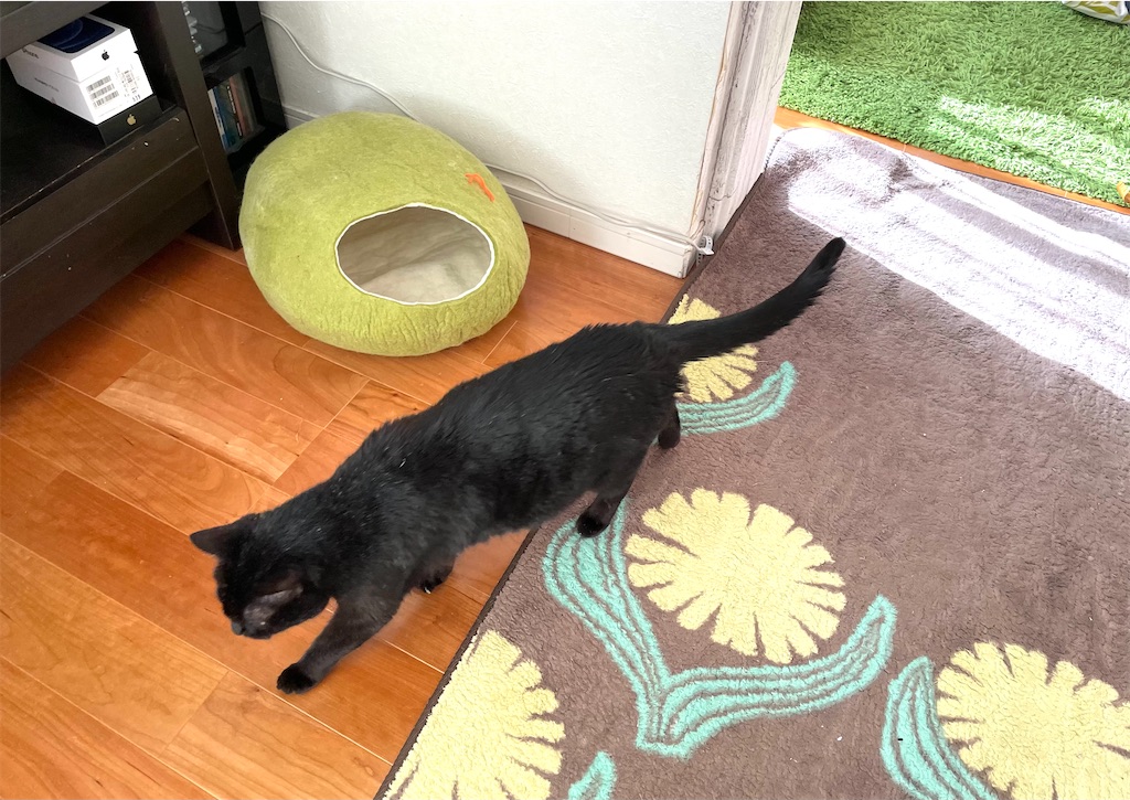 f:id:hiraryo0201:20201220210224j:image f:id:hiraryo0201:20201220210224j:image