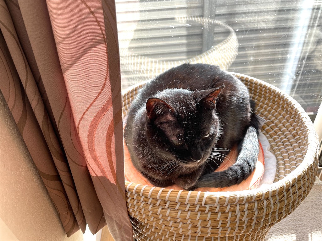 f:id:hiraryo0201:20201220210230j:image f:id:hiraryo0201:20201220210230j:image