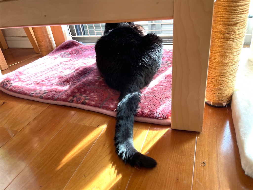 f:id:hiraryo0201:20201220210239j:image f:id:hiraryo0201:20201220210239j:image