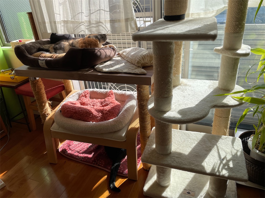 f:id:hiraryo0201:20201220210243j:image f:id:hiraryo0201:20201220210243j:image