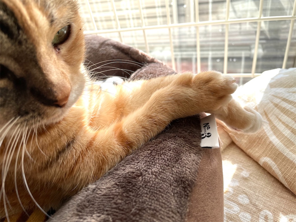 f:id:hiraryo0201:20201220210255j:image f:id:hiraryo0201:20201220210255j:image