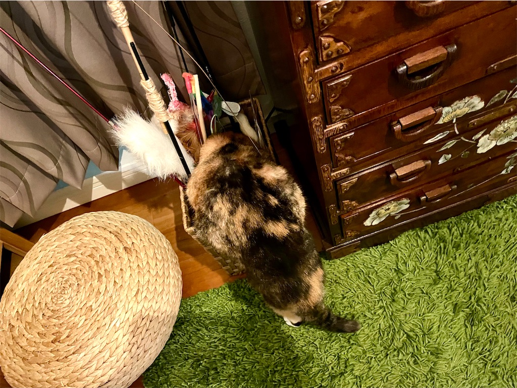 f:id:hiraryo0201:20201220210920j:image