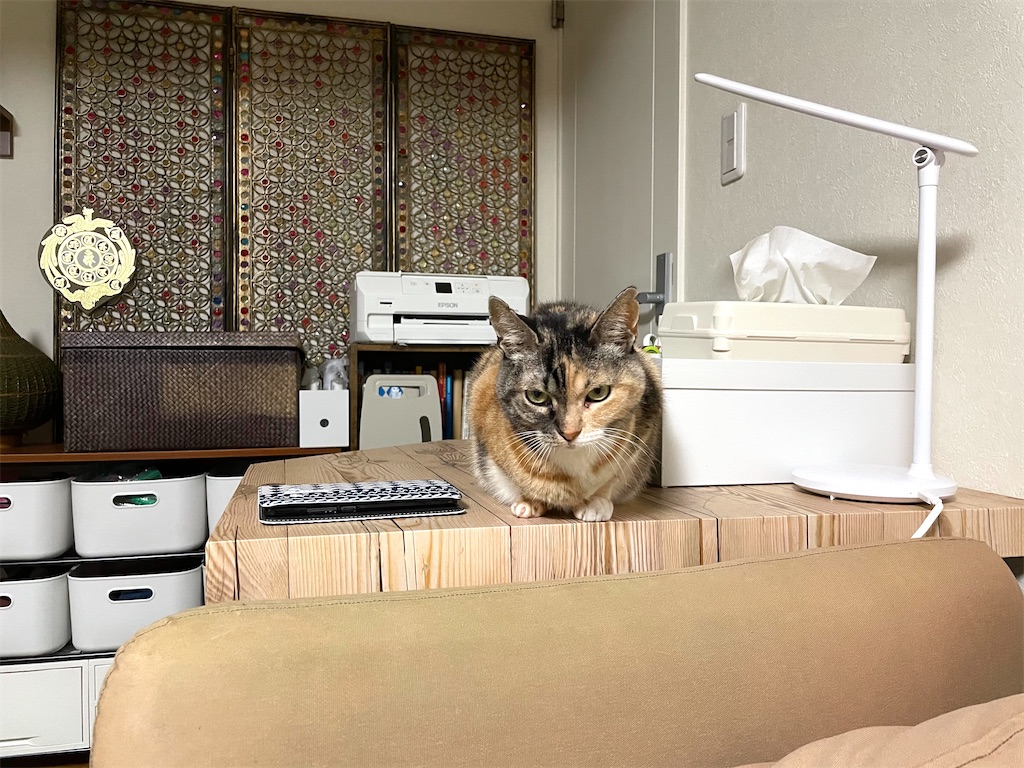 f:id:hiraryo0201:20201220211007j:image