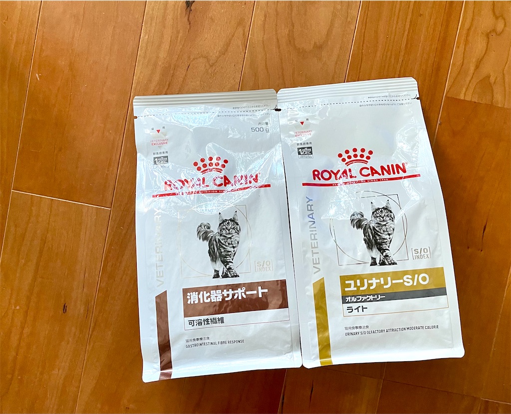 f:id:hiraryo0201:20201220211038j:plain