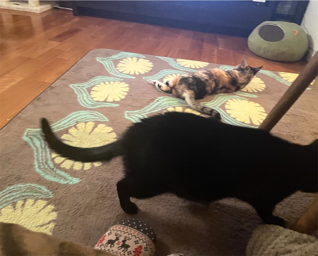 f:id:hiraryo0201:20201222172328j:plain