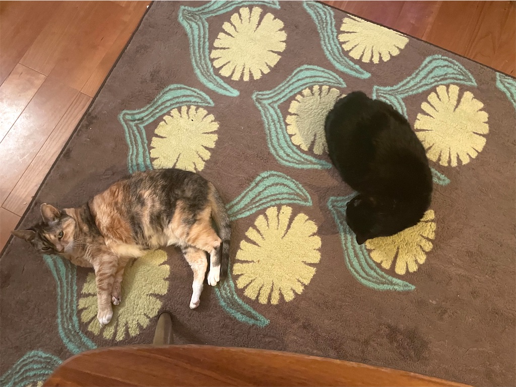 f:id:hiraryo0201:20201222172332j:image f:id:hiraryo0201:20201222172332j:image