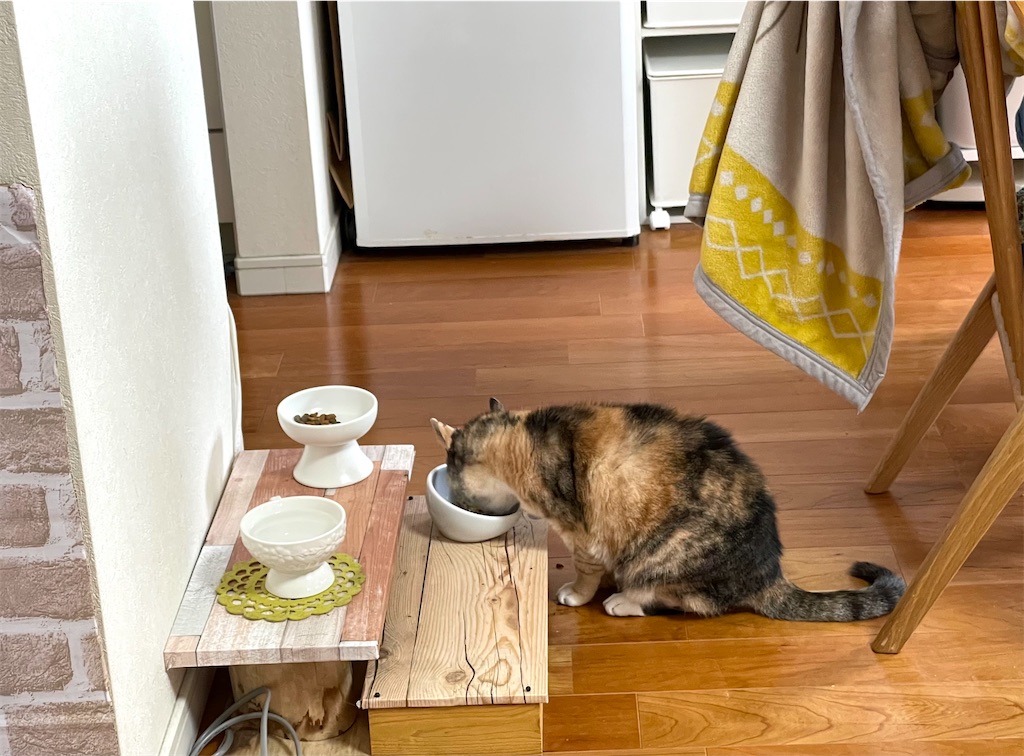 f:id:hiraryo0201:20201230132514j:image f:id:hiraryo0201:20201230132514j:image