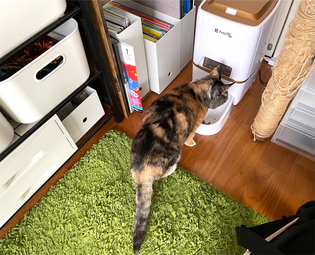 f:id:hiraryo0201:20201230132531j:image f:id:hiraryo0201:20201230132531j:image