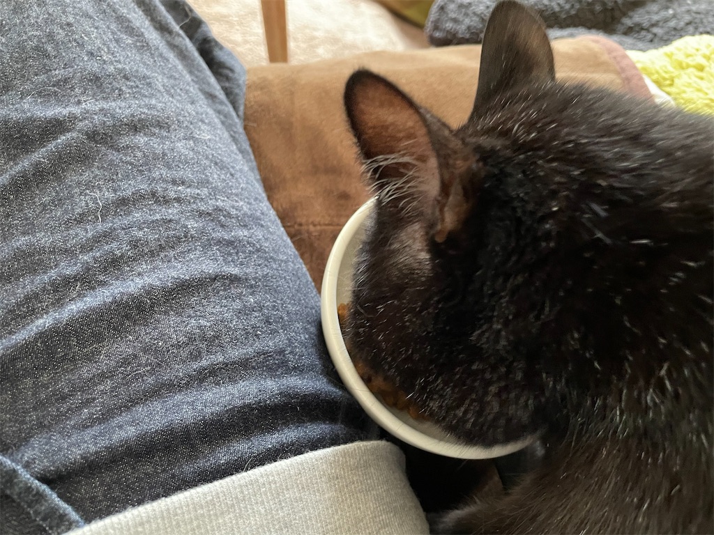 f:id:hiraryo0201:20201230132536j:image f:id:hiraryo0201:20201230132536j:image