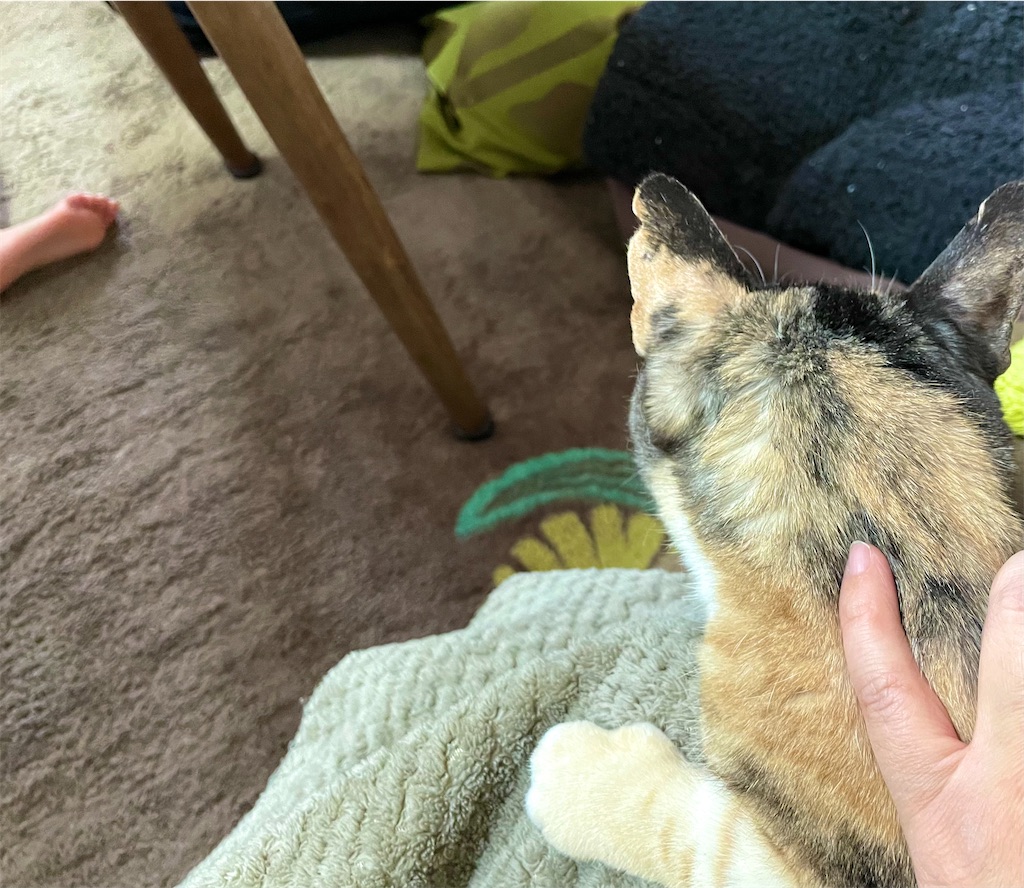 f:id:hiraryo0201:20201230132548j:image f:id:hiraryo0201:20201230132548j:image